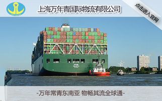 推薦上海國際集裝箱海運(yùn)運(yùn)輸代理——萬年青國際物流